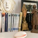 Small seashell: Codakia tigerina