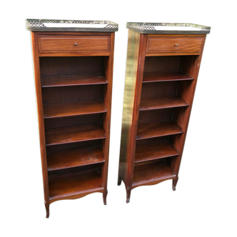 Pair of bibus libraries
