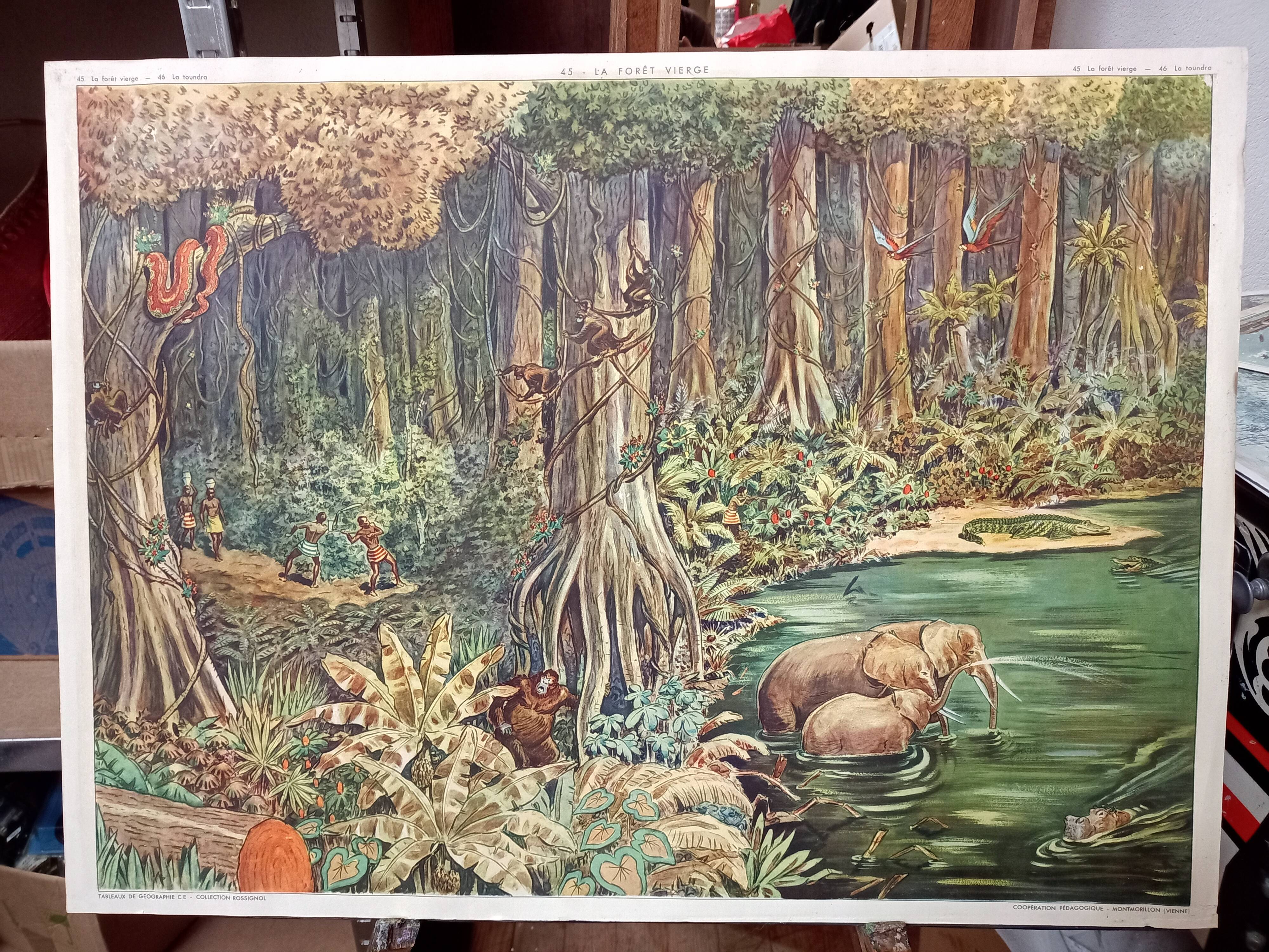 Rossignol school poster 45. The Virgin Forest 46 The Tundra