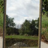 Mirror with black and gold frame, embossed vine leaves