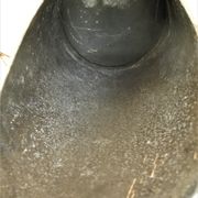 Old bucket coal zinc old zinc coal bucket zinkkohleeimer rustic decoration