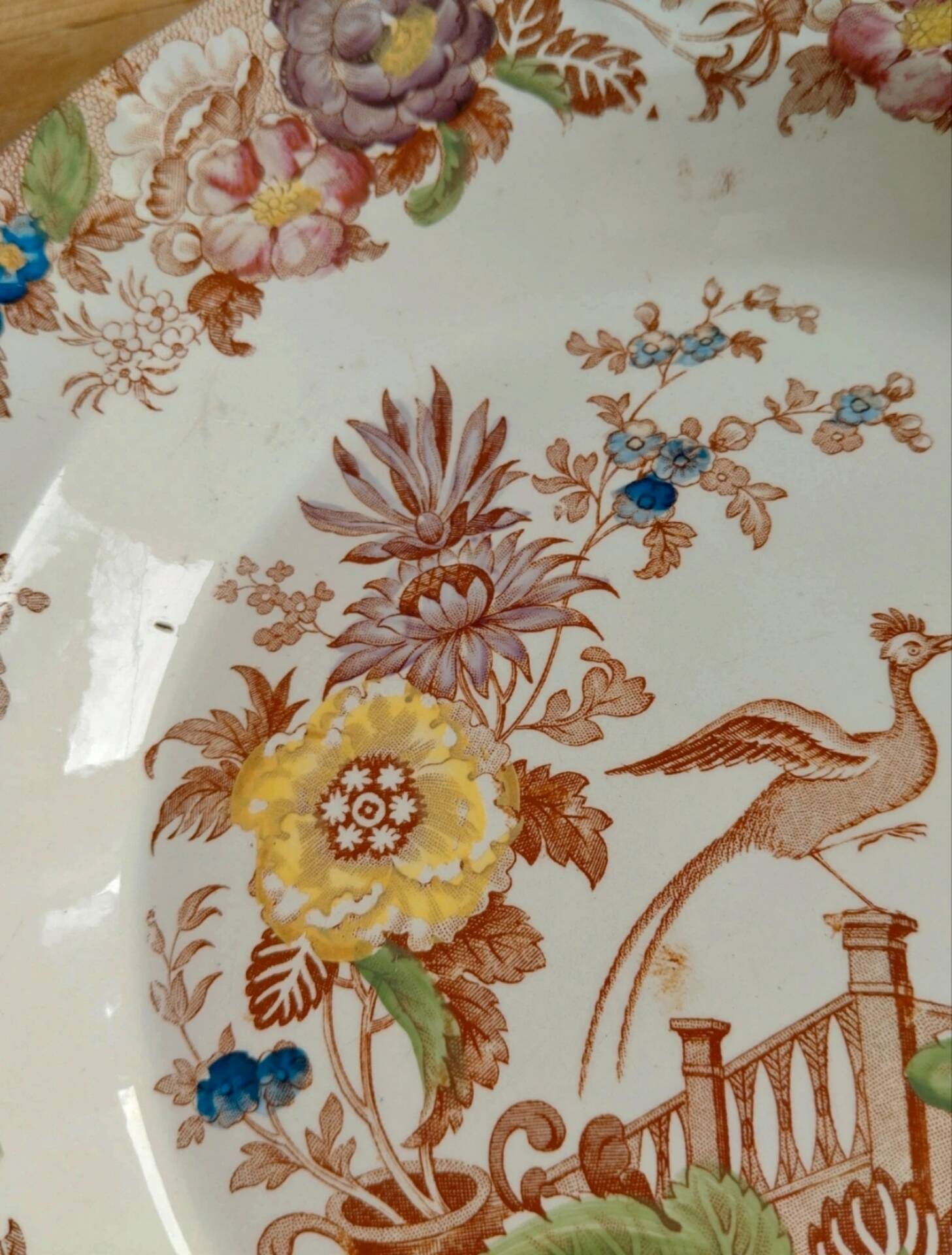 Set of 2 antique Longwy plates - Anemone model / Anemones