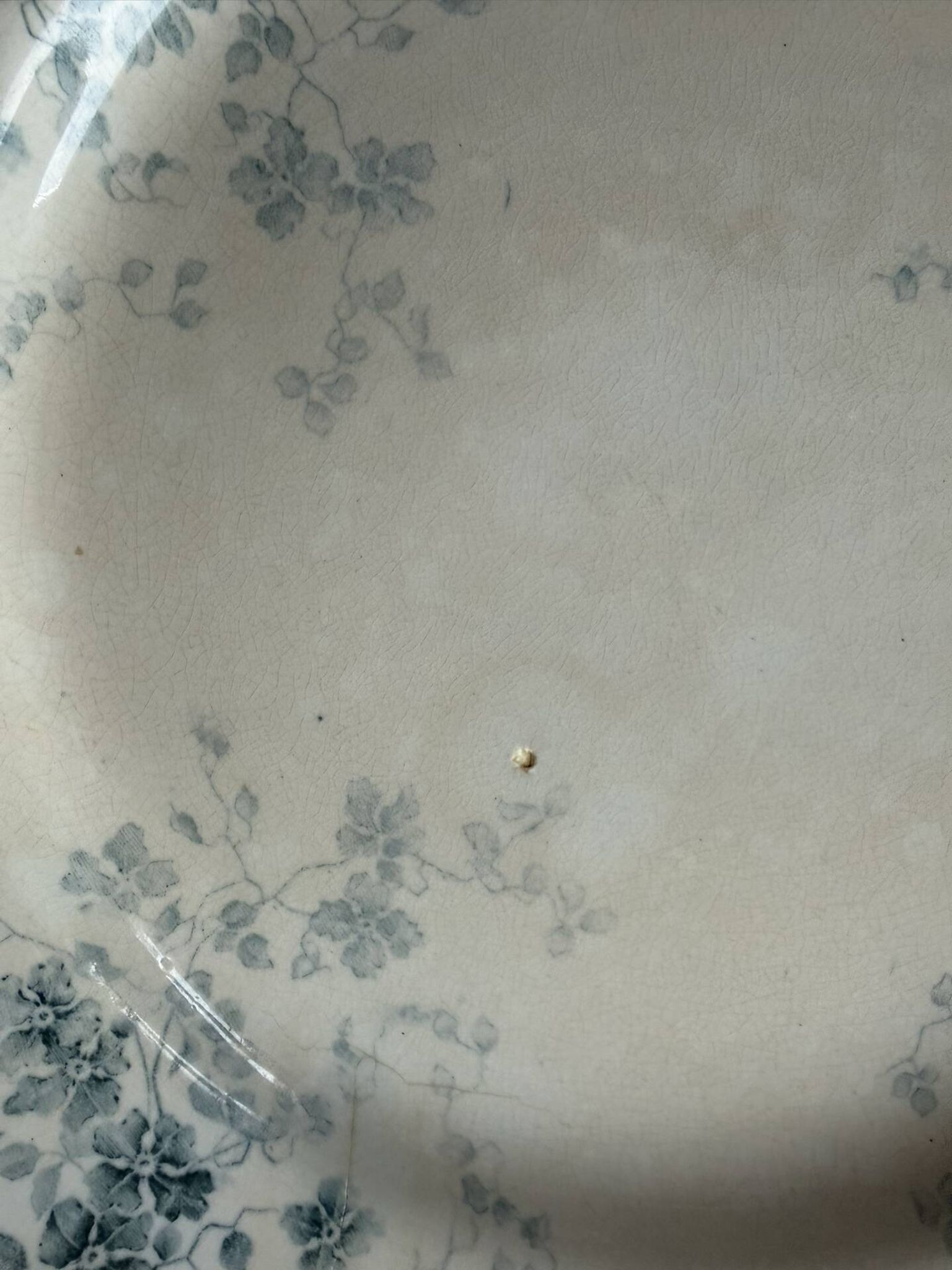 Lot of 7 flat plates Boulenger Choissy le Roi