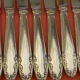 Set of 11 knives handle silver metal stainless steel blade
