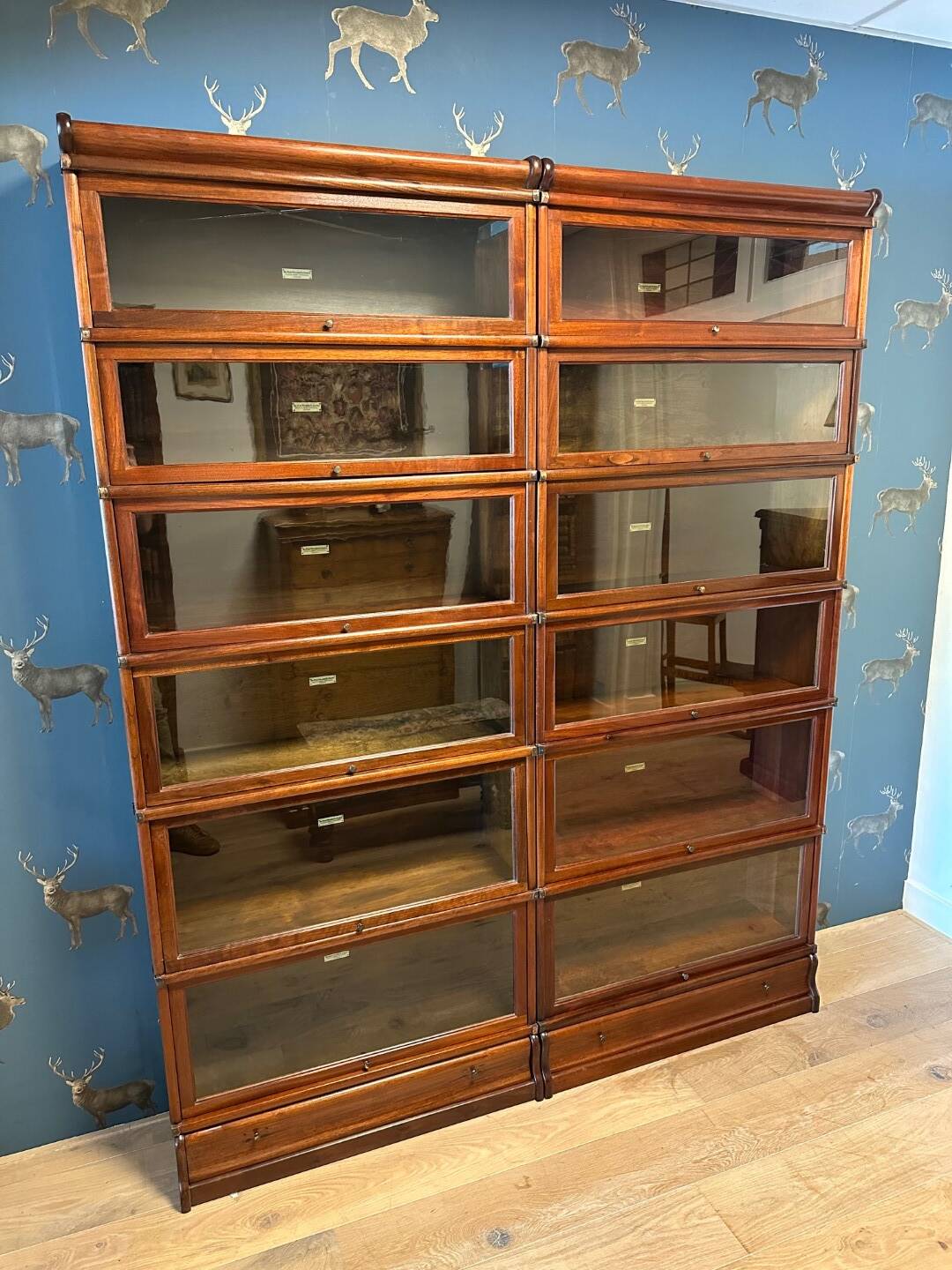 Antique Globe Wernicke bookcase