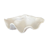 Shell cutting