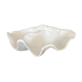 Shell cutting