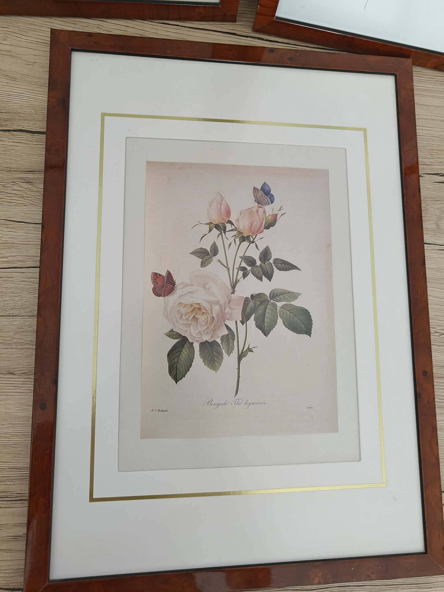 Lot 3 Large Botanical Engravings by Pierre-Joseph Redouté Flowers