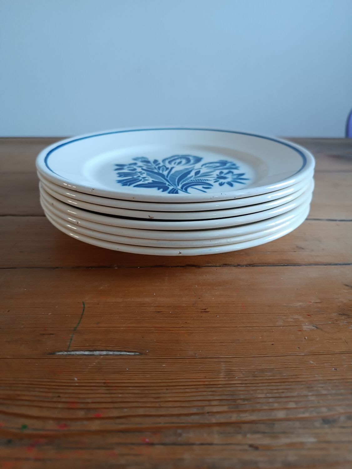 Set of 6 vintage earthenware plates