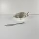 Vintage metal butter dish "Oyster" with glass insert, 1970.