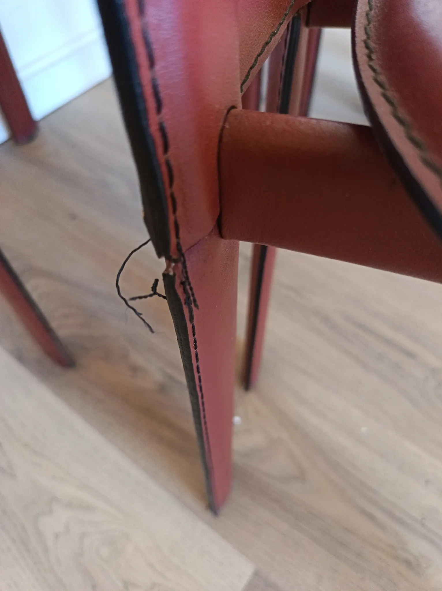 4 chairs model 1Alice by Giorgio Cattelan