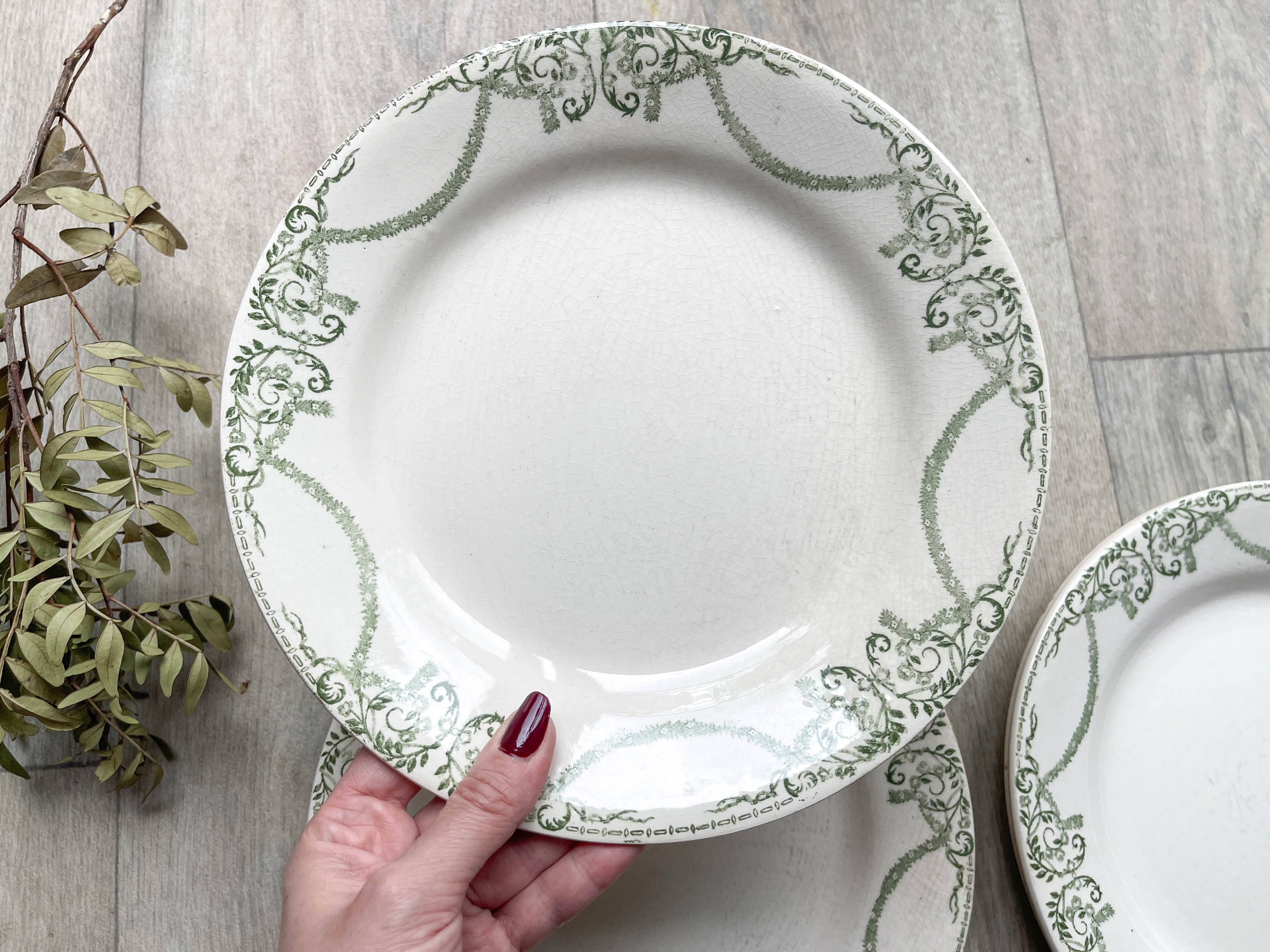 Flat plates terre de fer green creil & montereau labrador model "napoleon" 1890s