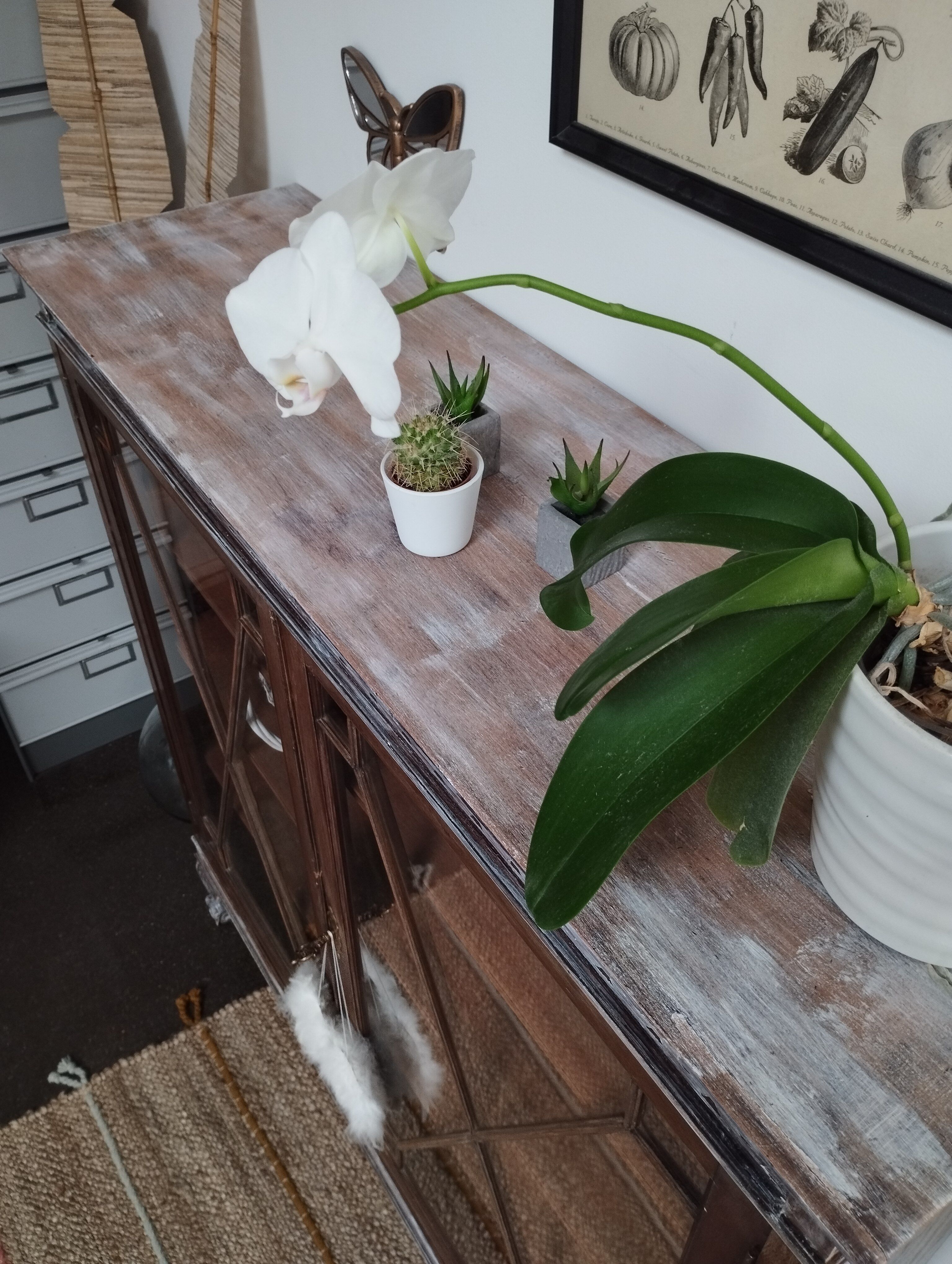 English style glazed bookcase cabinet