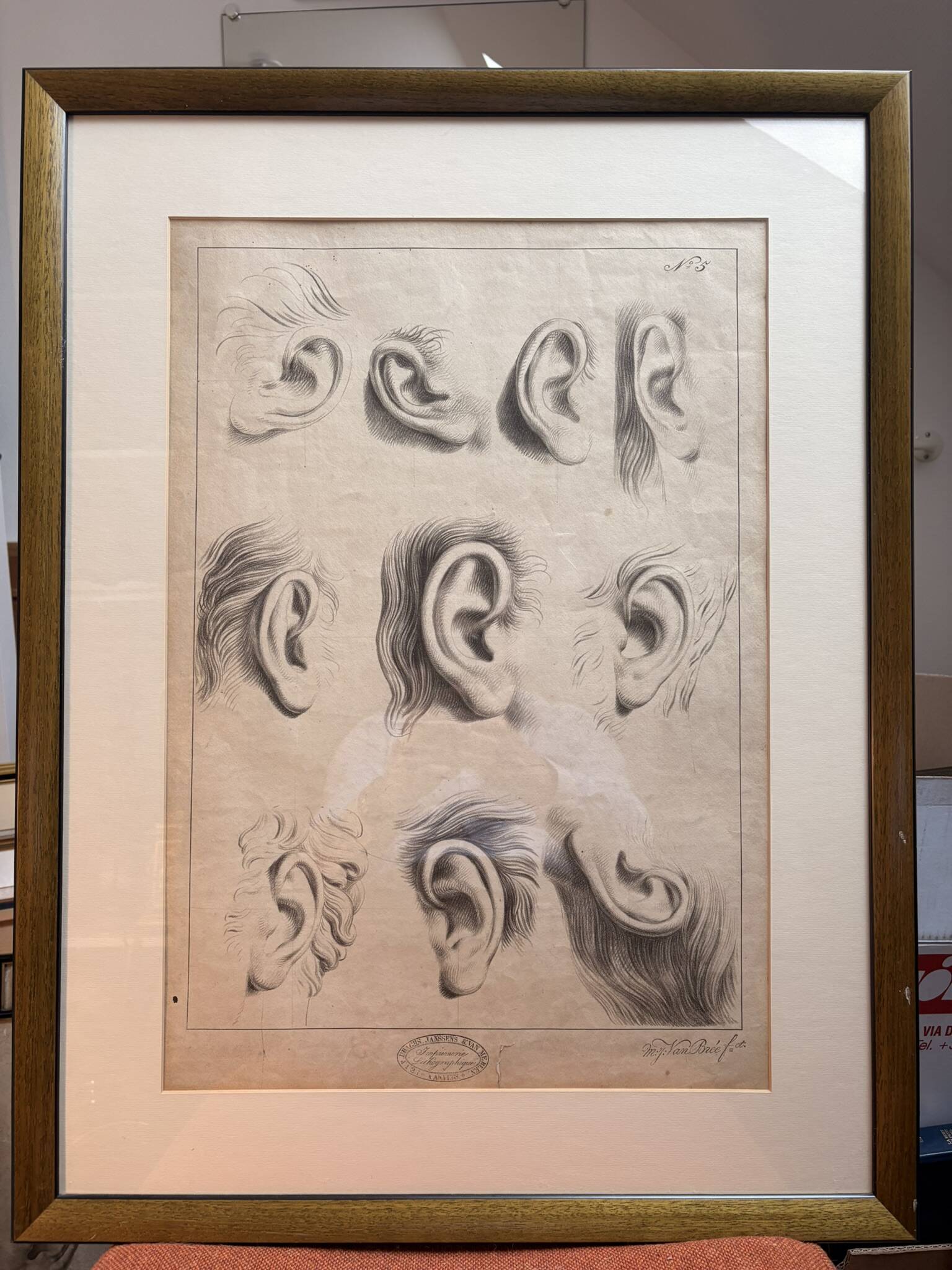 Old Print Engraving 19th Century Framed Academic Study Ear Van Bree