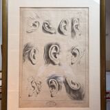 Old Print Engraving 19th Century Framed Academic Study Ear Van Bree