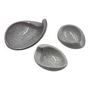 lot de coquillages Karlsruher