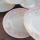 Set of 6 plates in Iron Earth