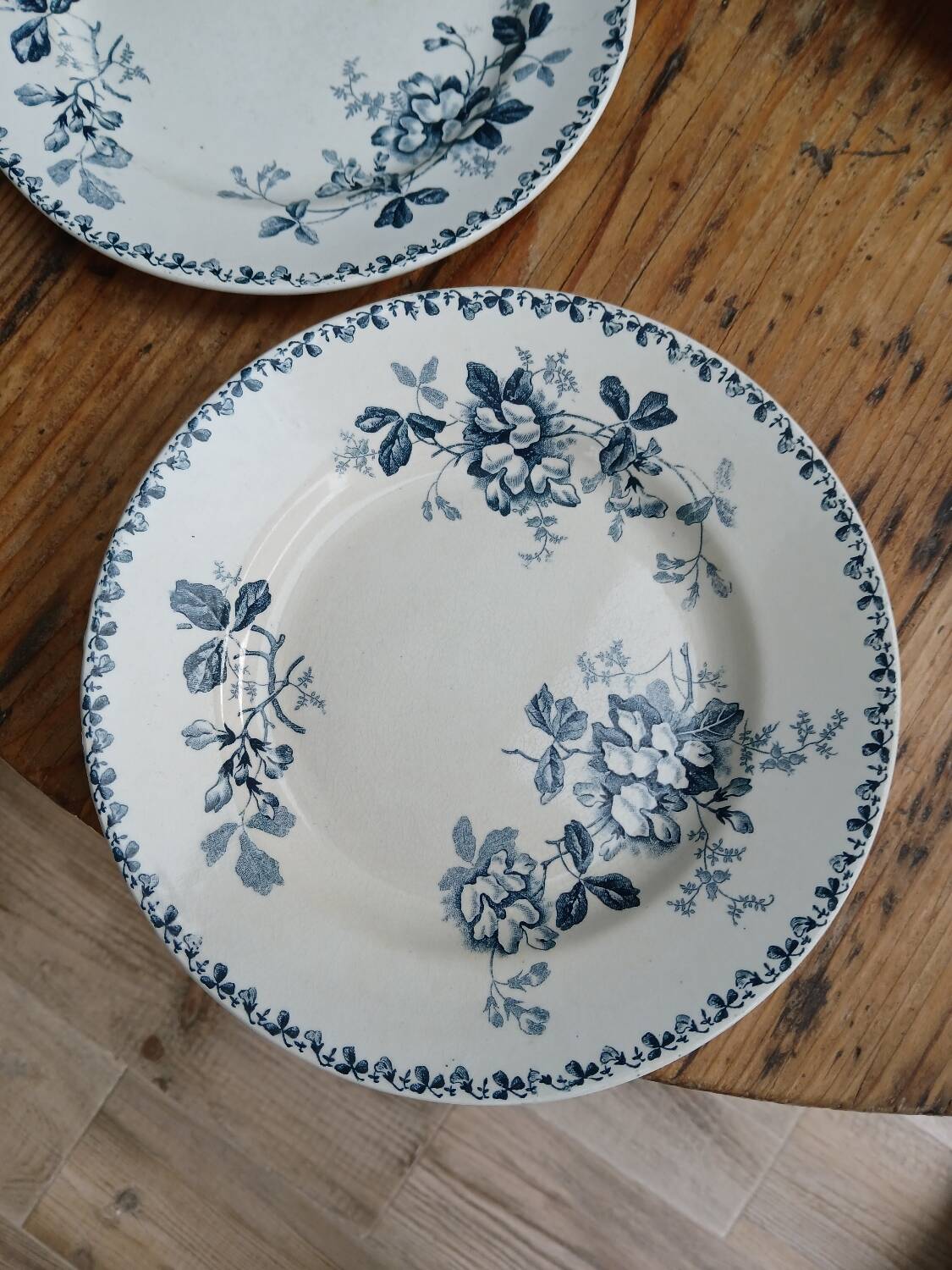 Set of 6 Terre de Fer plates, Acacia model