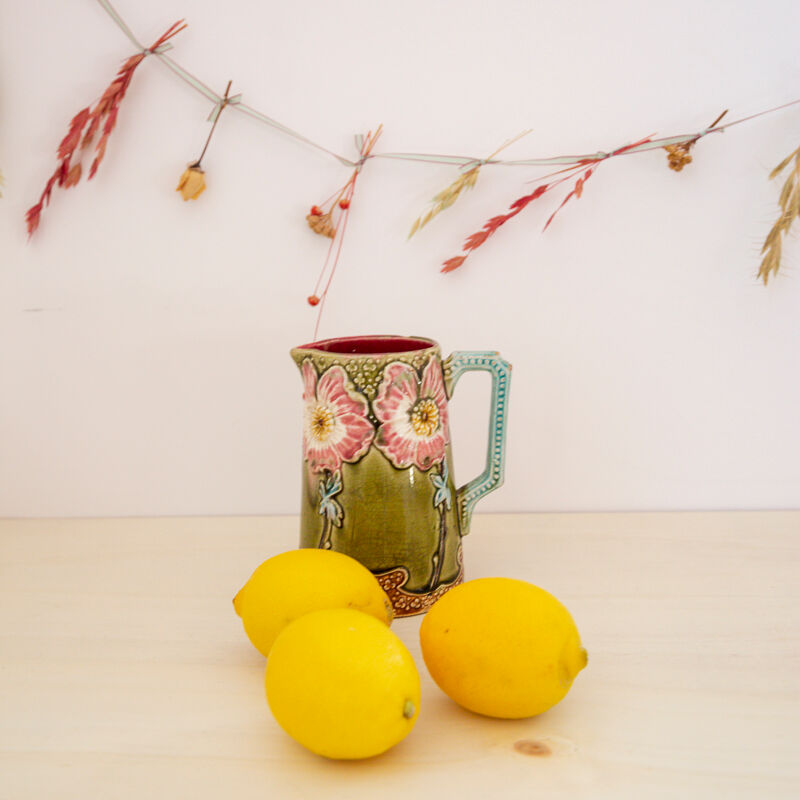 Pitcher in rosehip slurry signed earthenware of onnaing