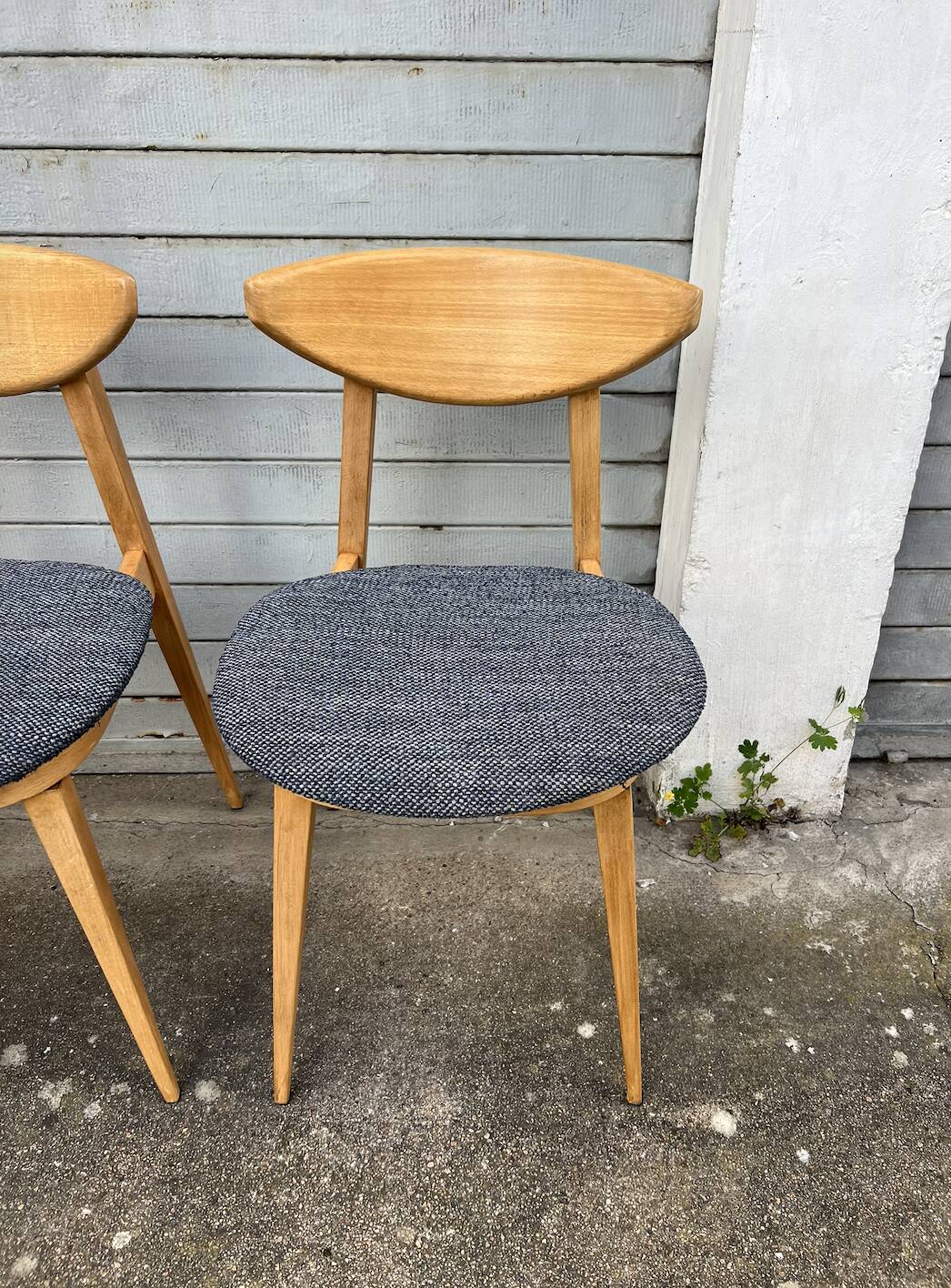(Lot) 4 Baumann Fontania chairs 1960 (Fully restored)