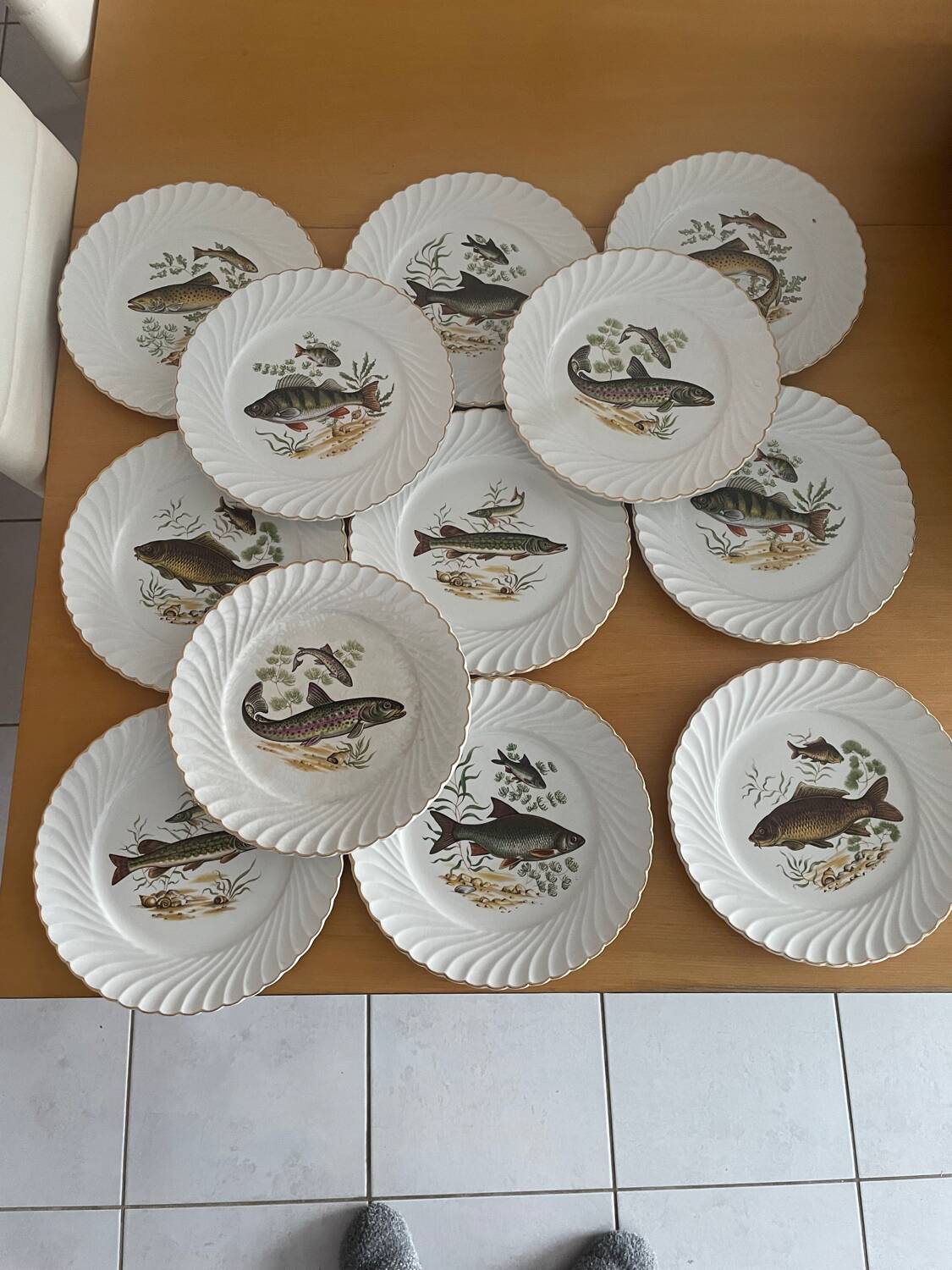 Luneville dinner plates