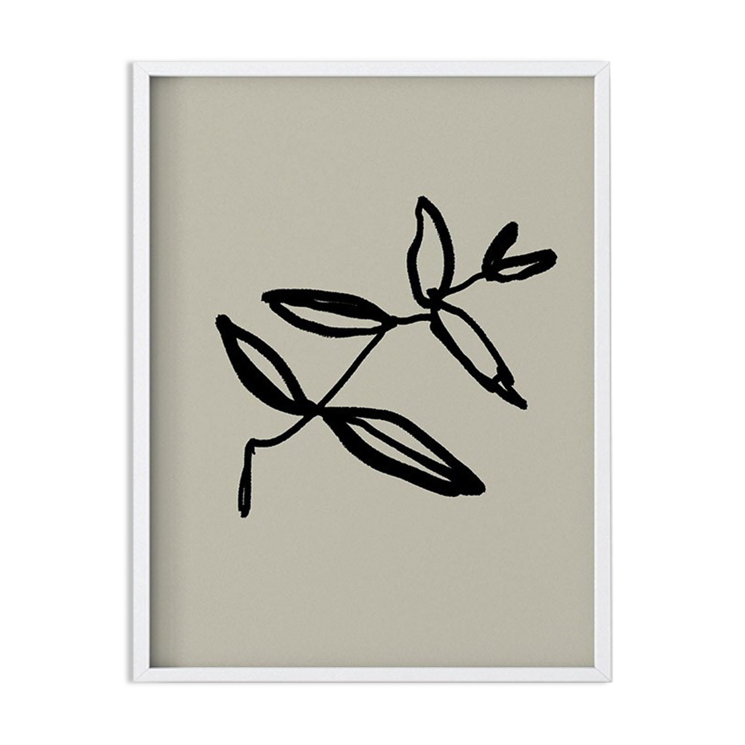 Botanical illustration giclee print, 50x70