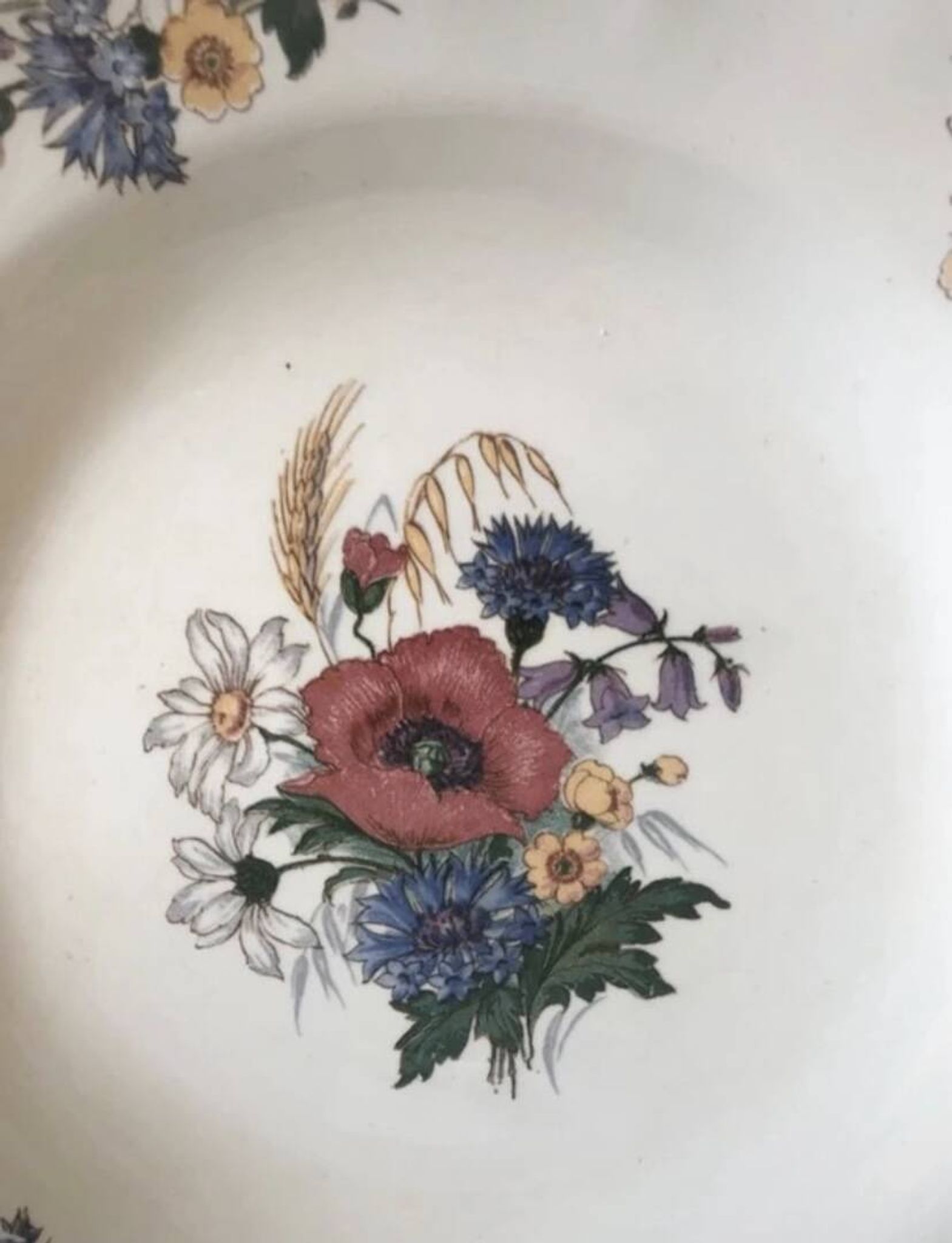 Assiettes creuses Agrest Sarreguemines