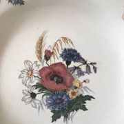 Assiettes creuses Agrest Sarreguemines