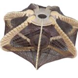 Suspension scandinave fil et bois