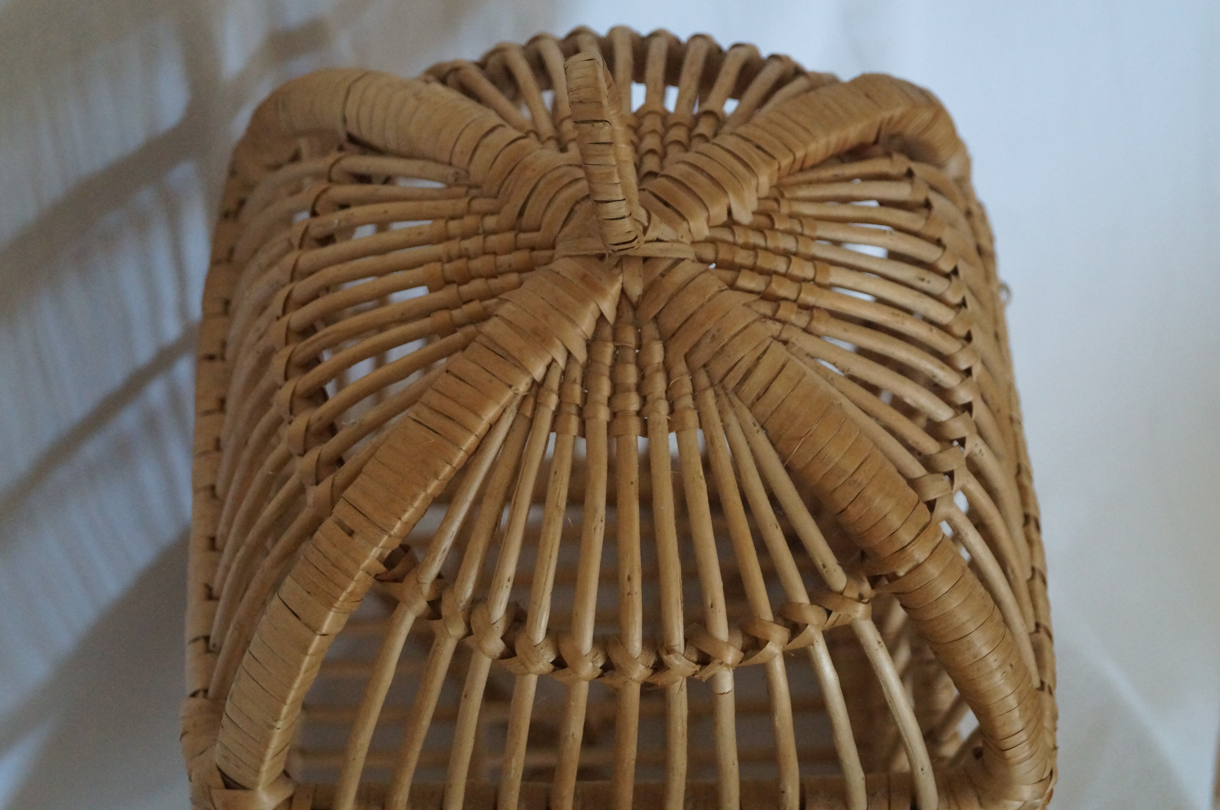 Bird cage