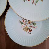 Fernand Deshoulières Chauvigny Porcelain Dinner Plates