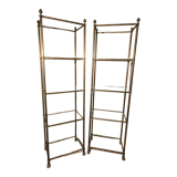 Pair of brass and gilded bronze shelves feet lion's feet