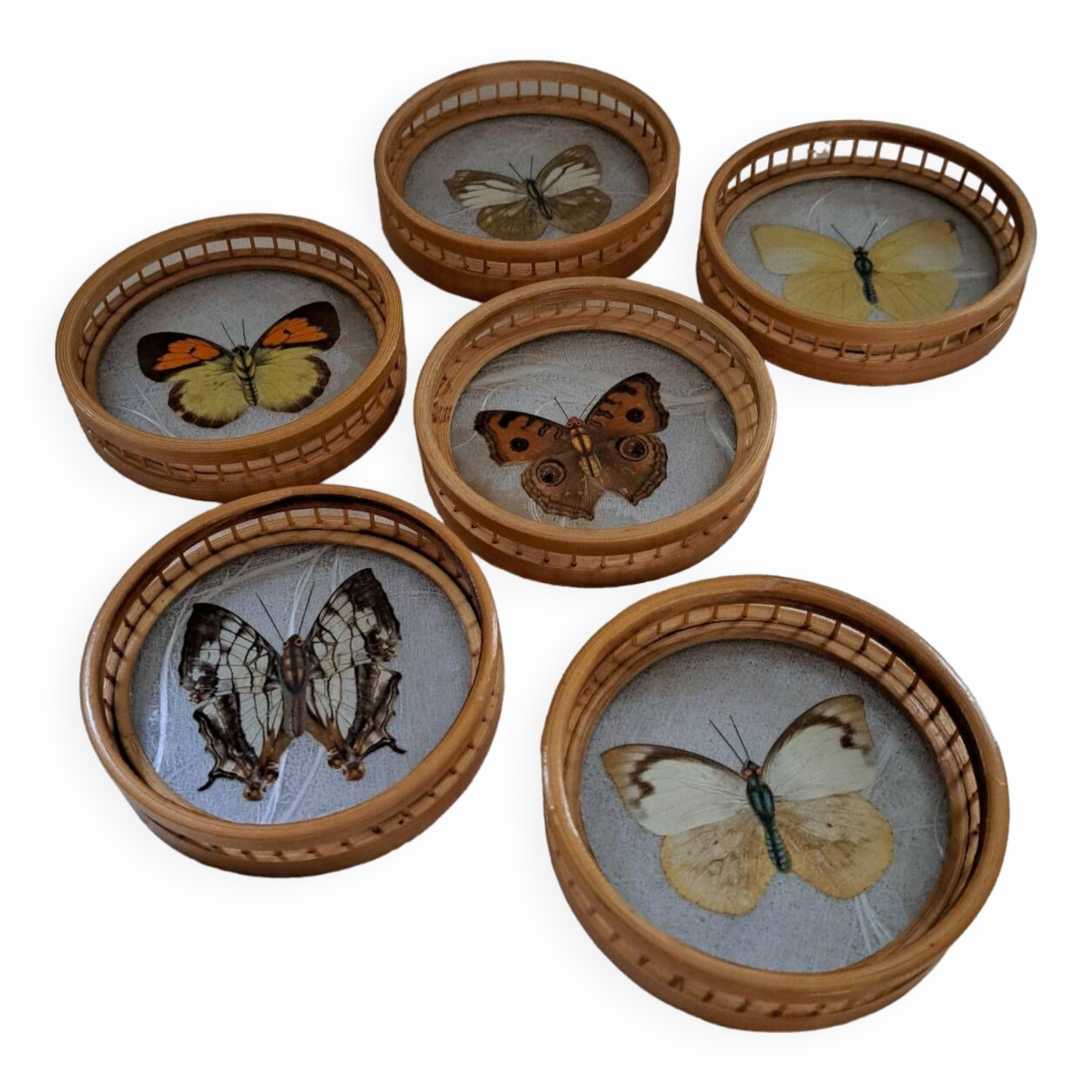 6 70's Butterflies under glass and their support