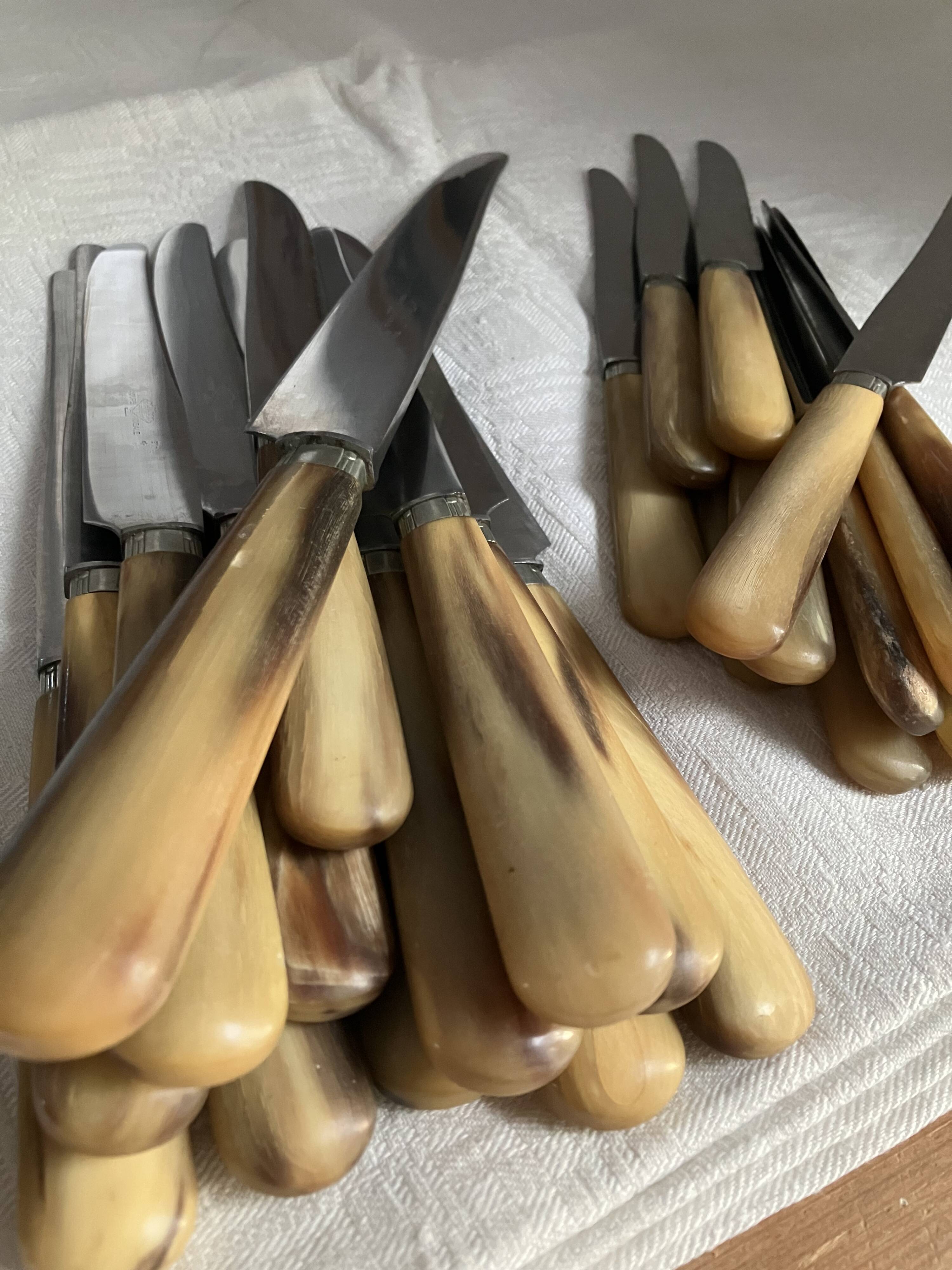 Set of 24 horn table knives
