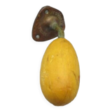 Old school wall mounted soap dish