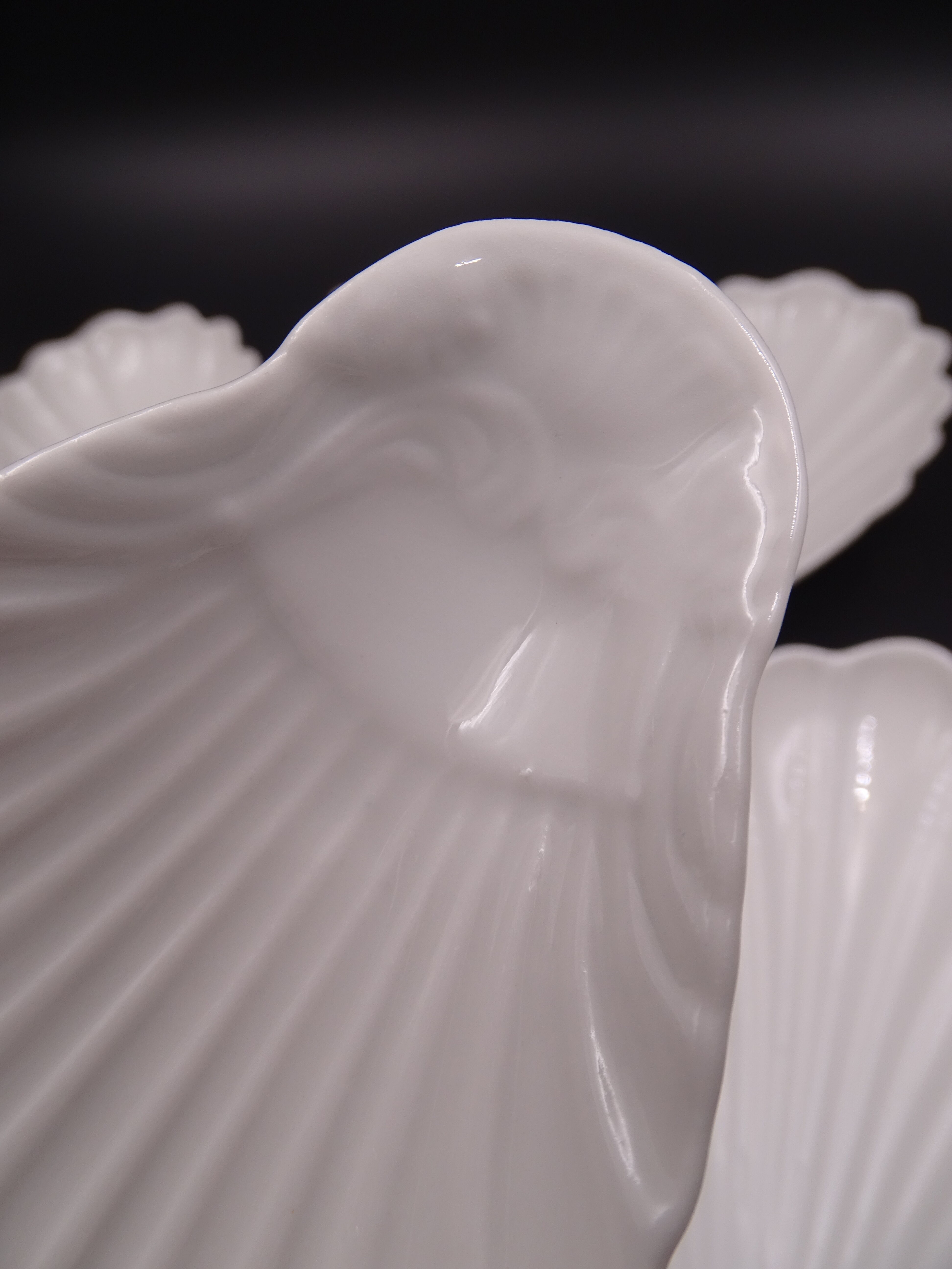 Set of 7 cups in white porcelain and in the shape of a shell - Pillivuyt around 1940