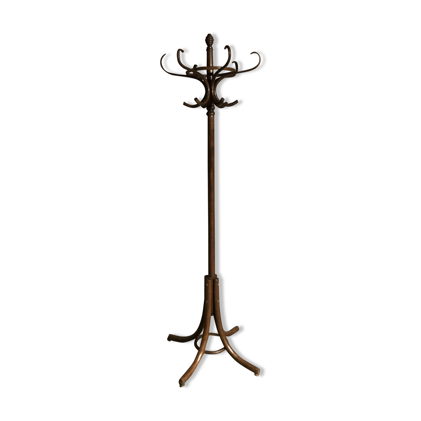 Thonet parrot coat holder, curved wood 1930 - 40,