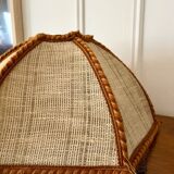 Vintage fringed pendant light