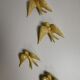 Batch of swallows in ceramic