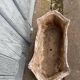 Cast iron planter France circa 19th century Louis XV style