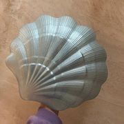 Magnificent iridescent blue vintage shell plate