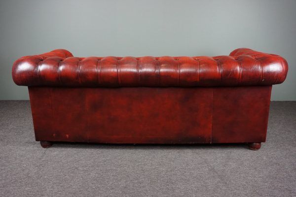 Chesterfield sofa 3 places in cowhide leather