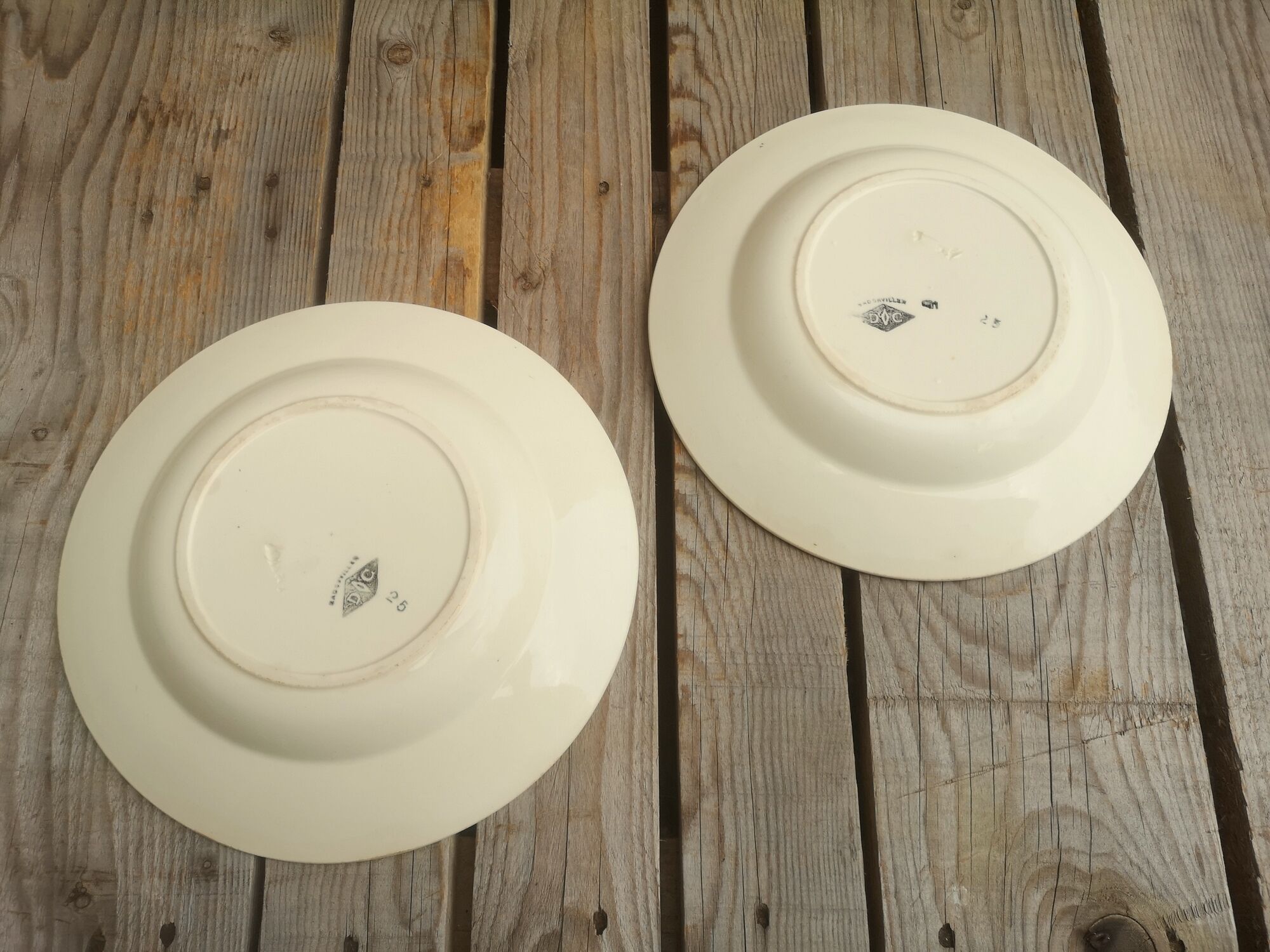 Set of 2 ceramic soup plates décor basket apricots signed Badonviller