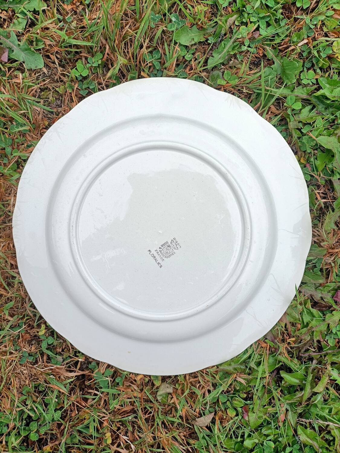 Digoin Sarreguemines dinner plate