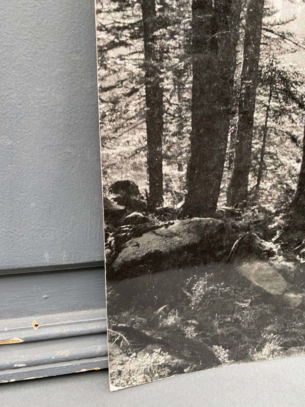 Silver gelatin photograph by Bernard Darot AFIAP. Sun in the Vosges Forest