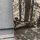 Silver gelatin photograph by Bernard Darot AFIAP. Sun in the Vosges Forest