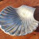 Vintage shell soap dish