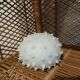 Round rattan shelf
