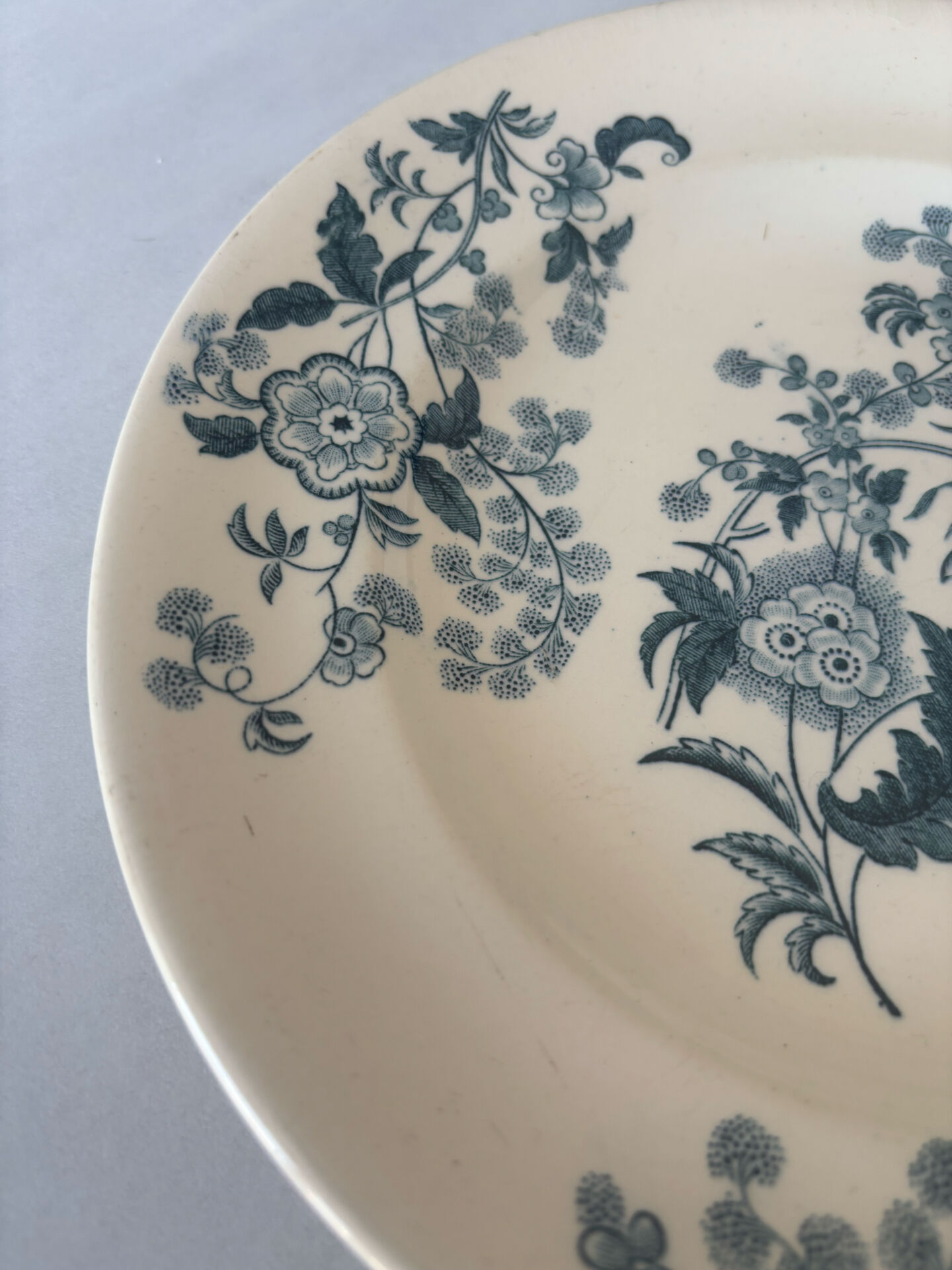 Flat plate iron earth Longwy model Ycho - blue flower faience ja