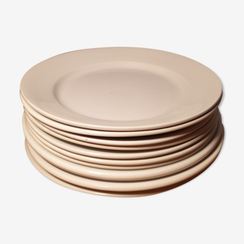 Set of 10 flat plates